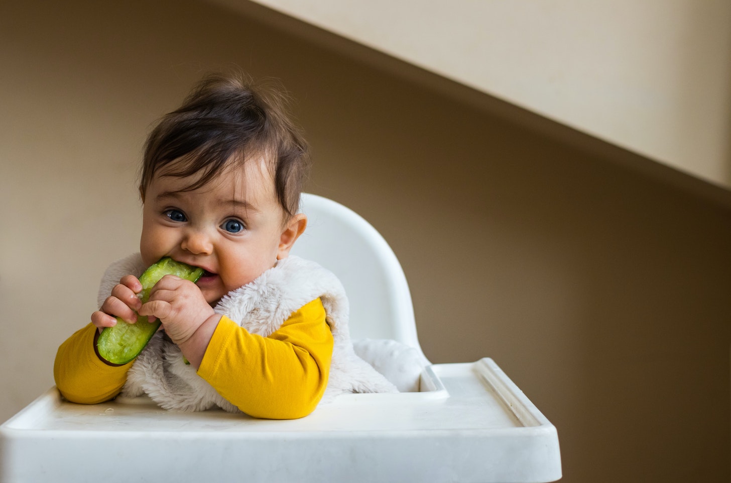 What is Developing Appetites all about?