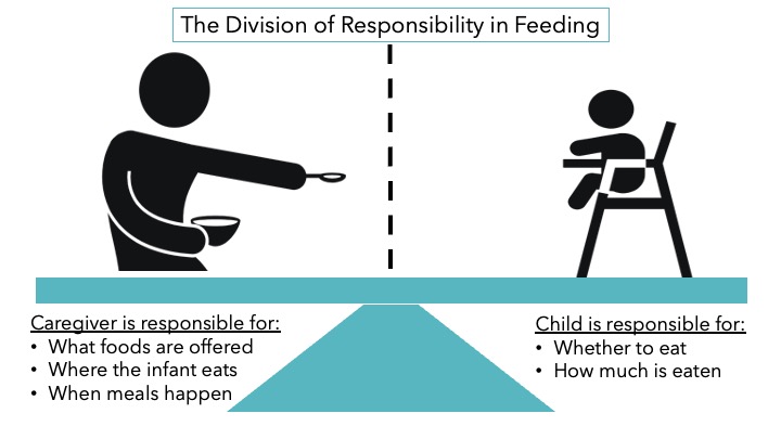 Figure illustrating division of responsibility in feeding
